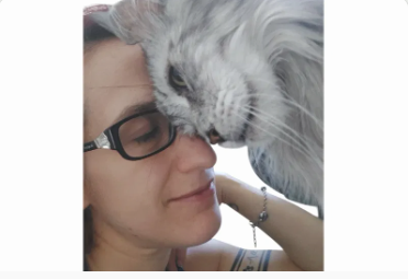 Amici Village Novate Milanese MI struttura Cat Care