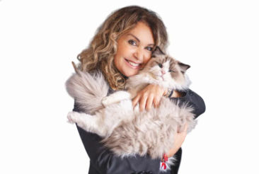Micio Miao Resort Arcore MB struttura Cat Care