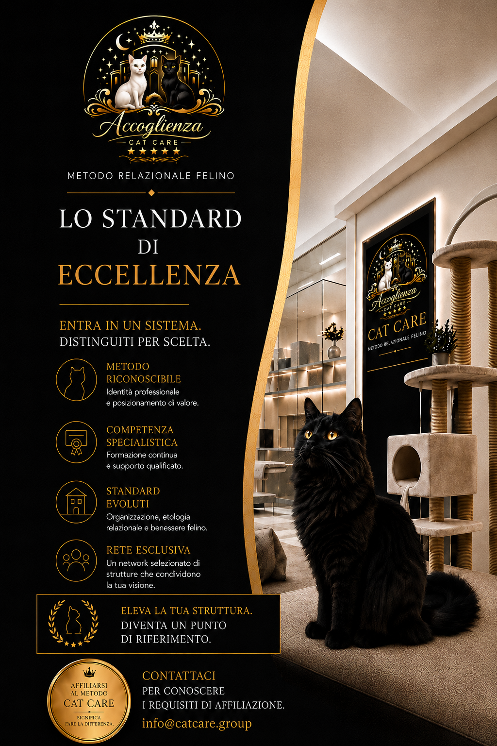 Affiliazione Cat Care per strutture dedicate ai gatti
